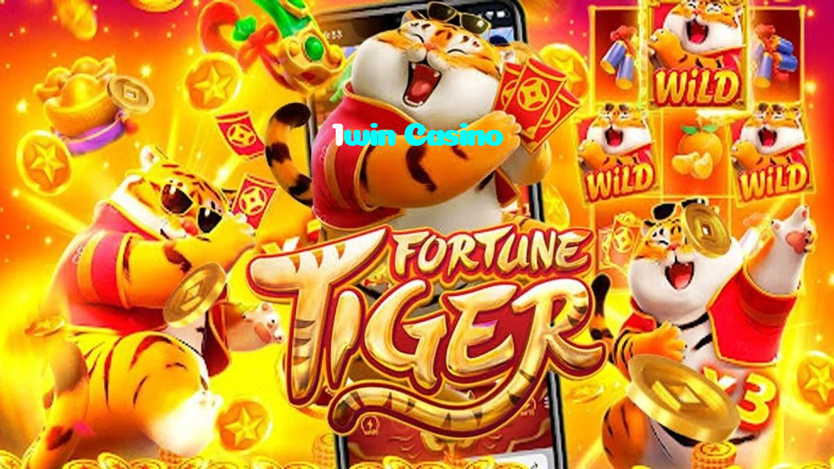 available types of 1win Casino bet including pre-match live express and system bets